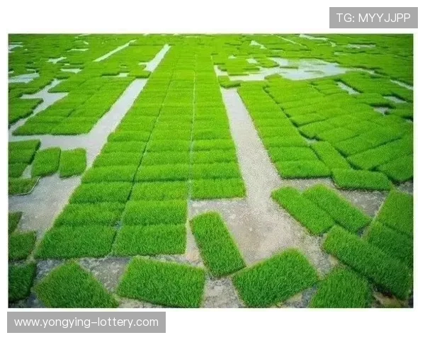 以灞桥为中心，探索陕西历史文化与现代发展的融合之路