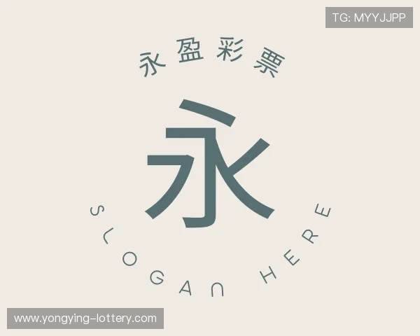 解读永盈v 官网